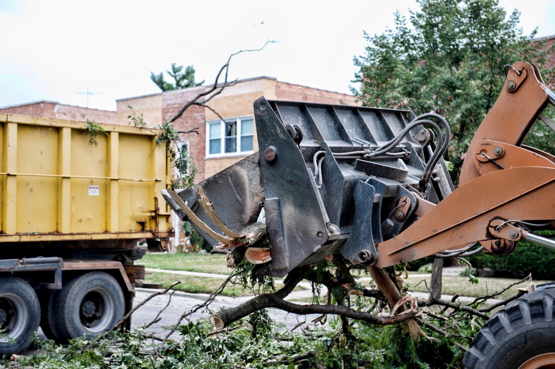 An image of Tree Removal in Euclid, OH