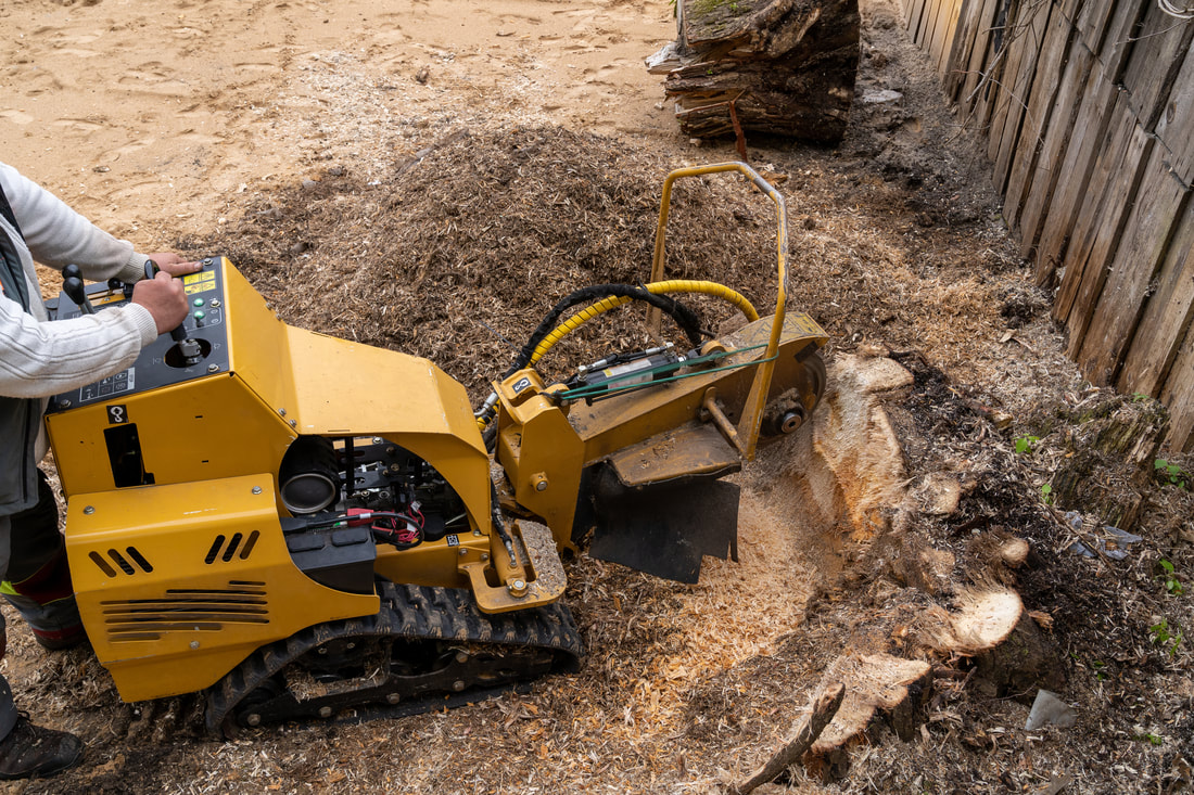 An image of Stump Grinding in Euclid, OH