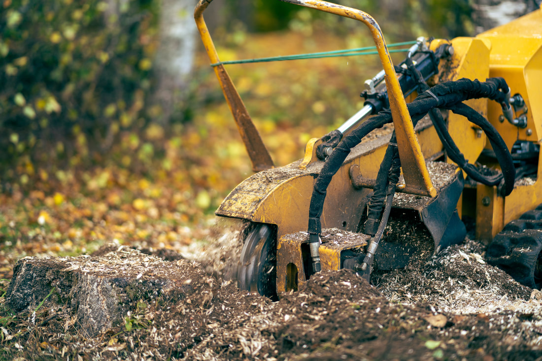 An image of Stump Grinding in Euclid, OH
